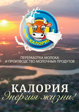 katalog