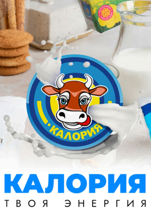 katalog
